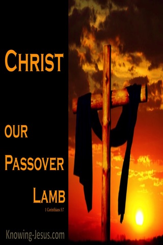 1 Corinthians 5:7 Christ Our Passover (orange)